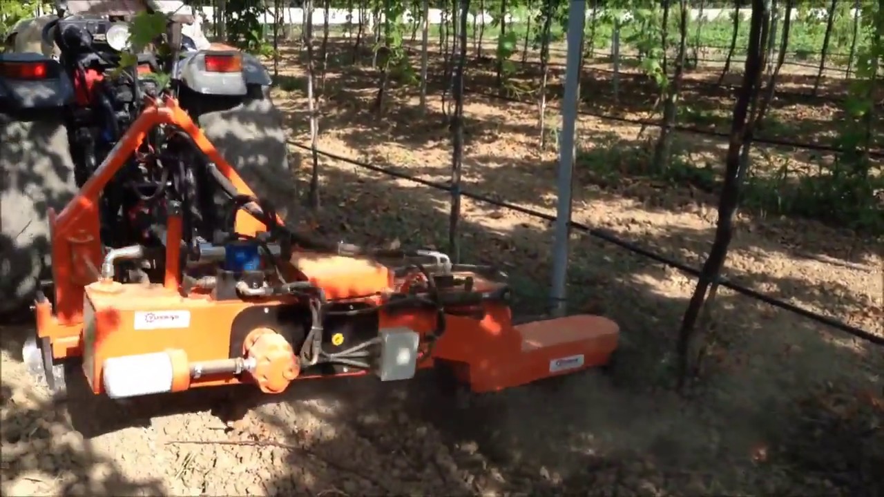 Почвофреза для приствольной обработки в работе по винограднику