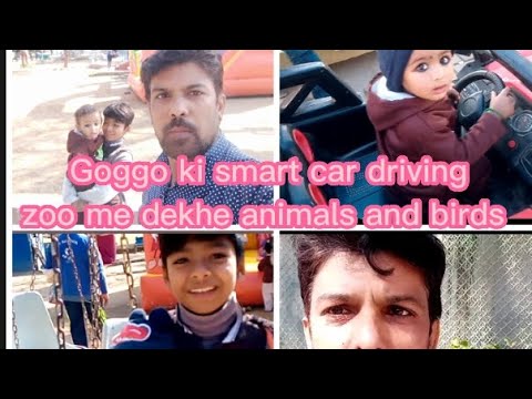 zoo me dekhe bacho ne animals or birds/Ali murtaza ki smart drive