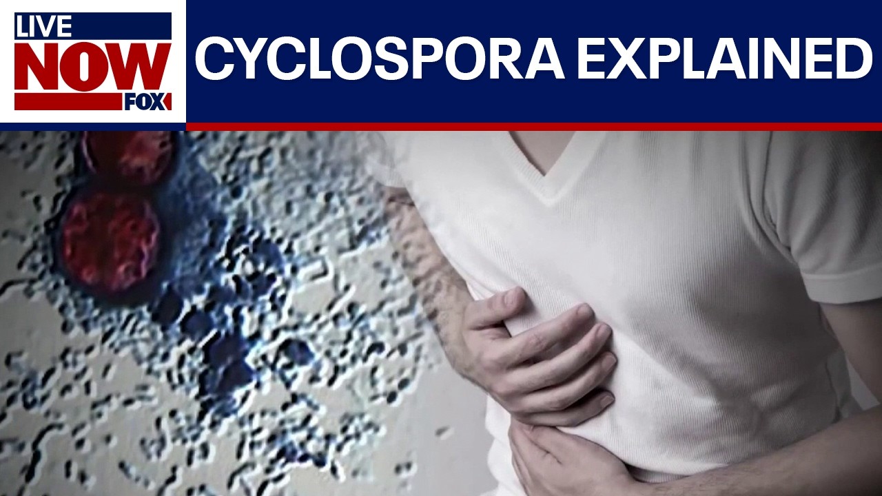 Taco Bell lettuce confirmed as source of diarrhea-causing parasite