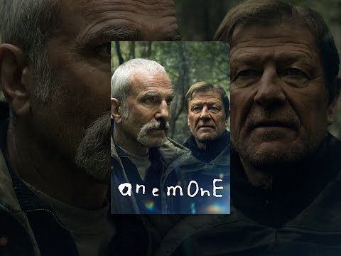 Anemone