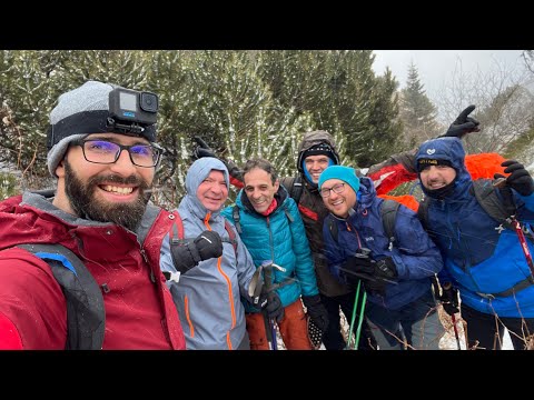 Malaiesti Cabin & Padina Crucii