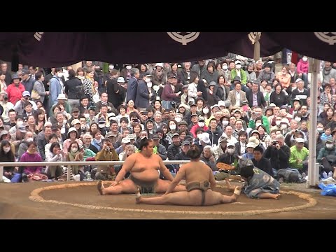 Outdoor Sumo Comedy