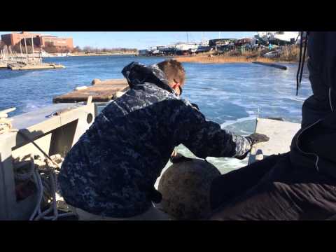 Savin Hill Cove and the Green Harbors Project