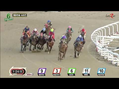 Champ Line - Busan Racecourse, January 8, 2017