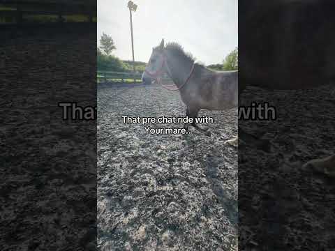 Pre chat ride with a mare🤣 #horse #funnyhorse #horsegirl #equestrianlife #horselove