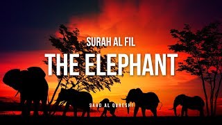 The Elephant  Surah Al-Fil  - Quran Recitation Beautiful القرآن الكريم  سورة الفيل