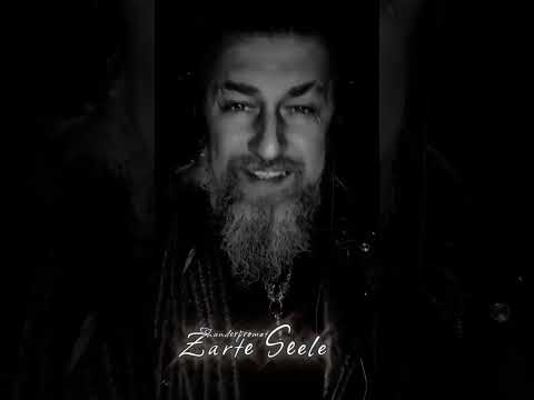 Zarte Seele #viral #viralvideo #video #viralshorts #viralshort #music #viralvideos #fürdichpage 