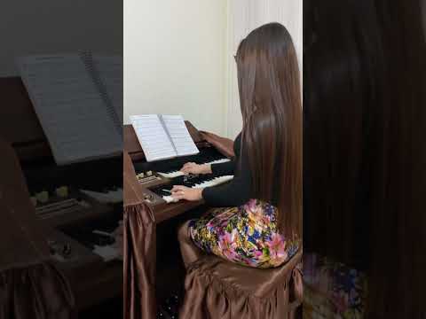 HINO 278 - HINOS TOCADO NO TOKAI MD10 | CCB|