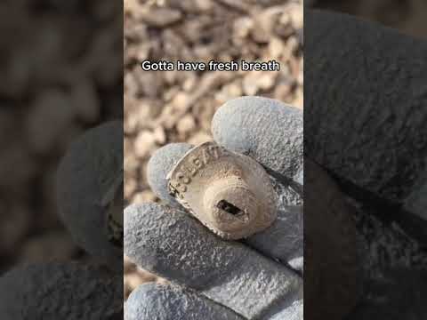 Digging Under An Abandoned Brothel!