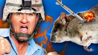 How to GET RID OF RATS in your kitchen...FAST! RAT WARZONE!!