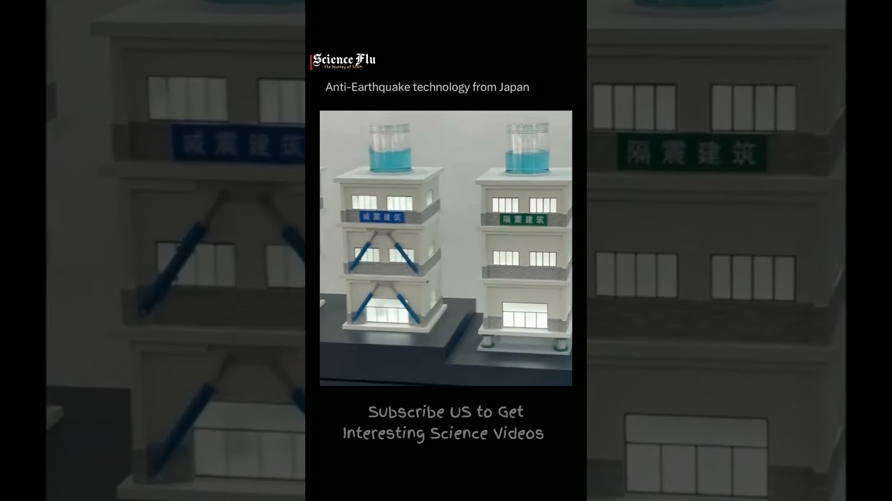 Earthquake Resistant House | Japanese Building | #science #sciencefacts #technology