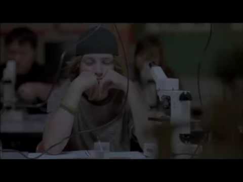 Paranoid Park - Lorenzo De Angelis