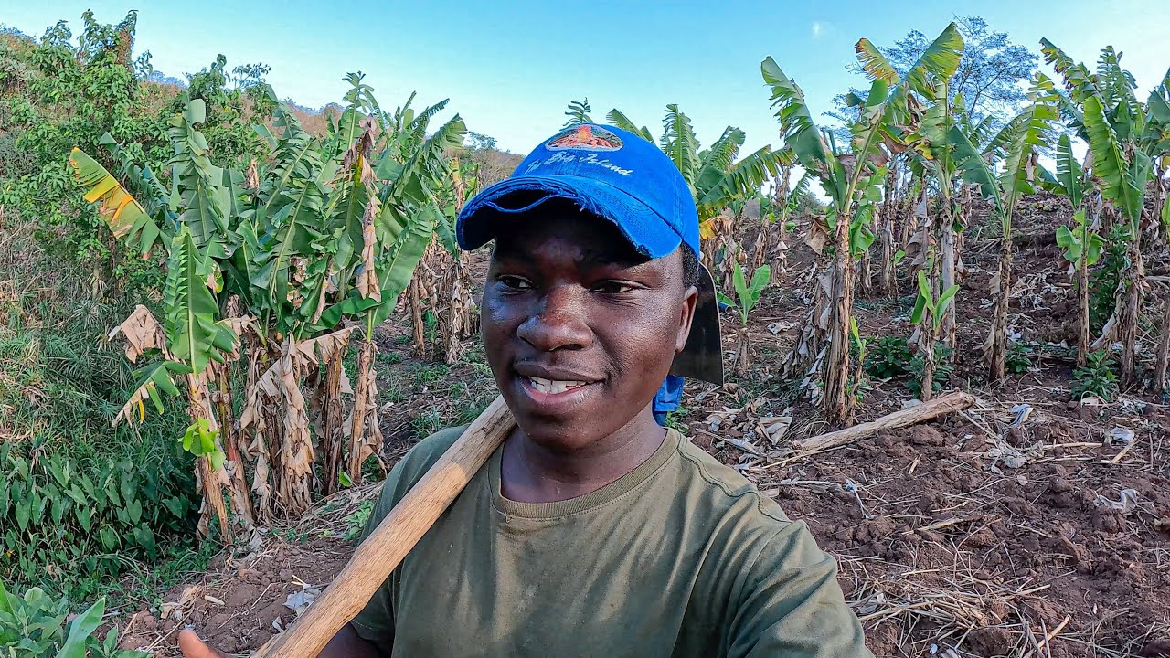 Nossa Roça Está Irreconhecível - Grandes Avanços!