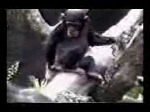 очень смешной прикол