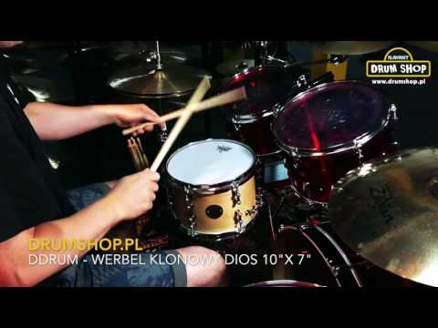 drumshop.pl DDrum - werbel klonowy Dios 10"x 7"