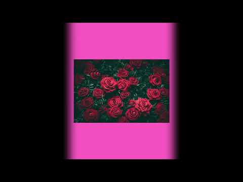 Czaplik x Bryli - Love