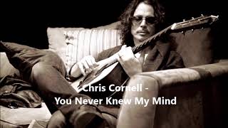 CHRIS CORNELL - You Never Knew My Mind (Subtitulada en Español)