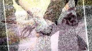 si no te hubieras ido - Maná