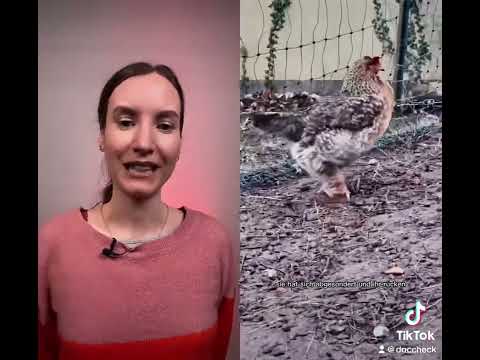 Ei, ei, ei gotta feeling - dass ich ein Ei legen muss 🥚