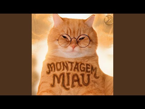 Montagem Miau