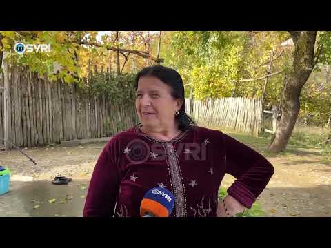 Gështenjat në Shmil të Elbasanit, banorët të zhgënjyer nga prodhimi i këtij viti