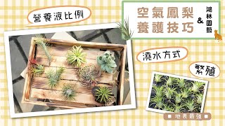 [問卦] 現在家庭普遍都很愛佈置家裡放一堆盆栽？