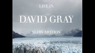 David gray - Life in slow motion Full Album