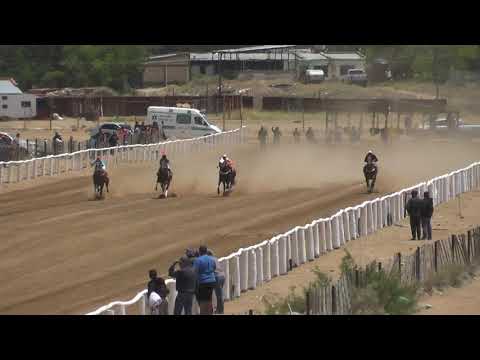 SANTITO - Club Hípico Viento Sur Cutral Co - 12-12-21