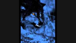 my tribute to moonspell ( 1994 under satane).wmv