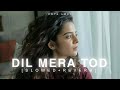 Dil Mera Tod Diya Usne Slowed Reverb Alka Yagnik Kota Lofi