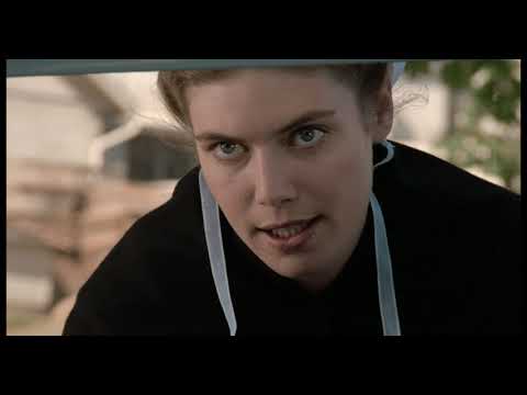 Witness (1985) Bird house crash scene.