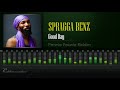 Spragga Benz - Good Day (Peanie Peanie Riddim) [HD]