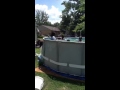 Dunking In Da Pool