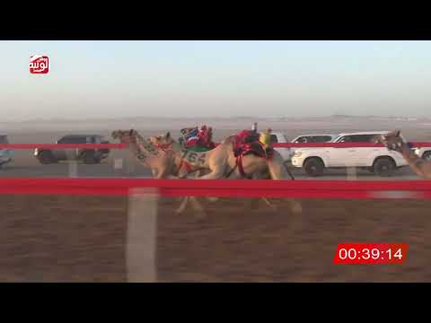  ش 5 (سياف) لـ غصاب عبدالله مصبح العامري 2:08 , شارة الصندوق 2026/06/06 فطامين الروضة   