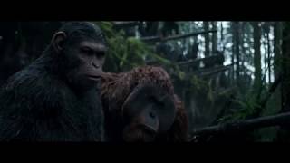 War for the Planet of the Apes | 'Apes Channel 4 Ad Break' | Official HD Video 2017