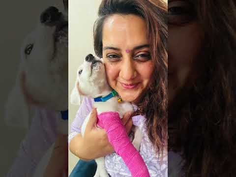 2 Month Old Puppy Rescued After Brutal Beating | Street Dog Story That Will Break Your Heart
