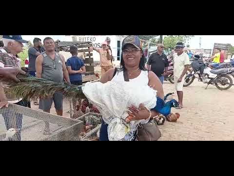 Feira livre da Dona Maria Olindina Bahia 12/7/26 