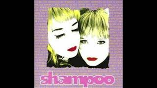 shampoo『paydirt』