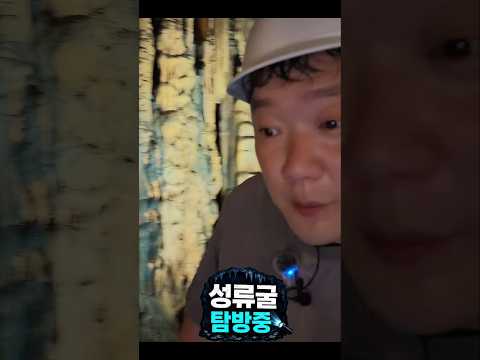 #성류굴 에서 OO가 나타났다