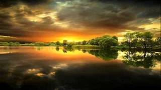 Nicholas Gunn - Flight of the Condor