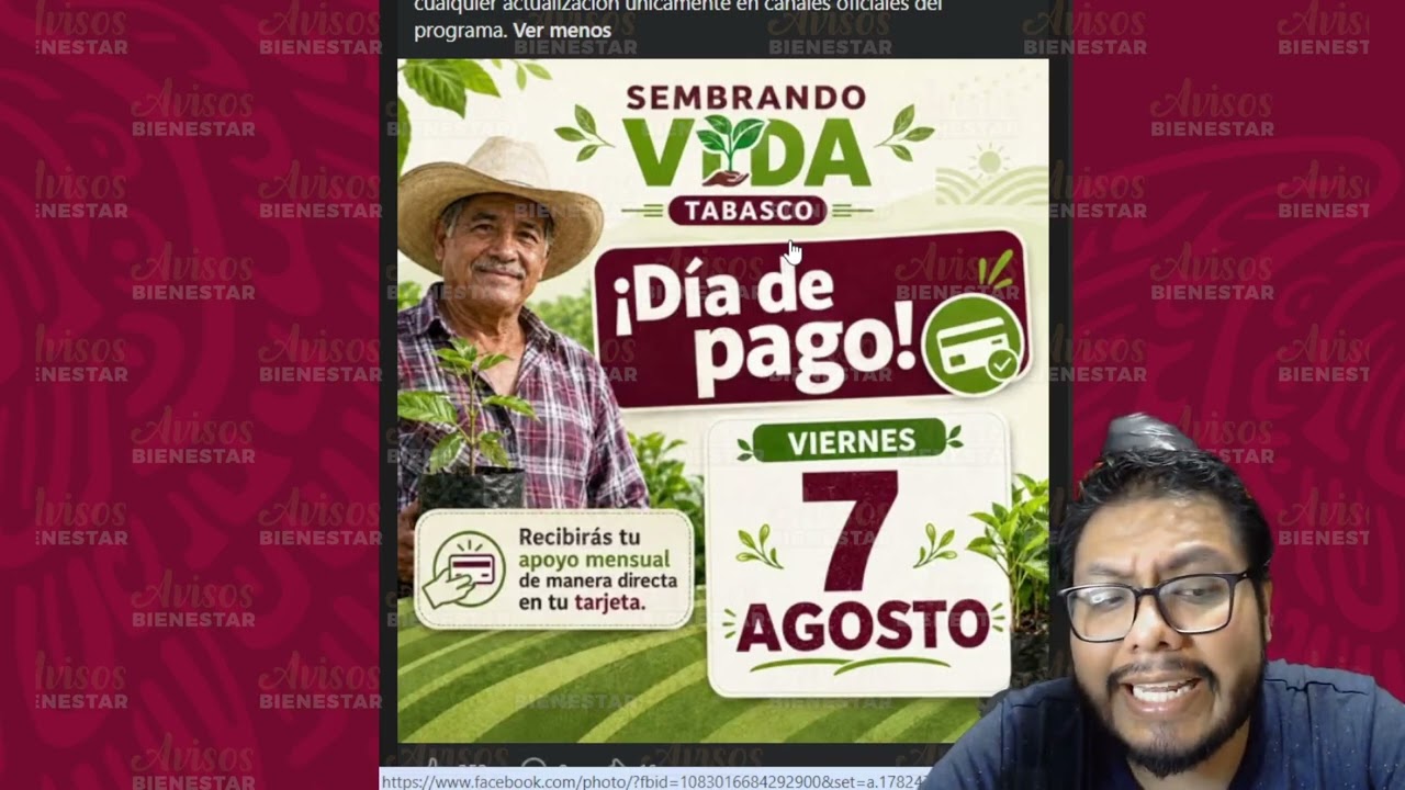¡CORRELE! sembradora y sembrador esto esta pasando con Sembrando Vida tabasco