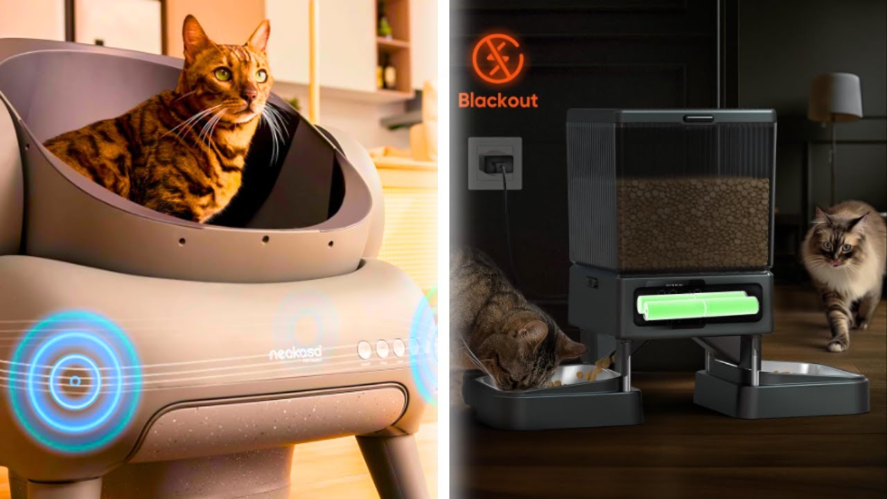 Top 27 Best Amazon CAT Must-Haves & Finds (2024 Discounts)