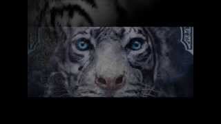 Where I draw the Line - Clay Aiken (lyrics) Tiger&#39;s Curse OST