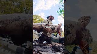 The MONSTER Fish That DIDN'T Get Away!