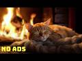 Cozy Purring Cat ASMR Peaceful Evening Fireplace And Gentle Purr