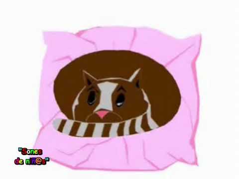 El Gato grande (Rosa León)