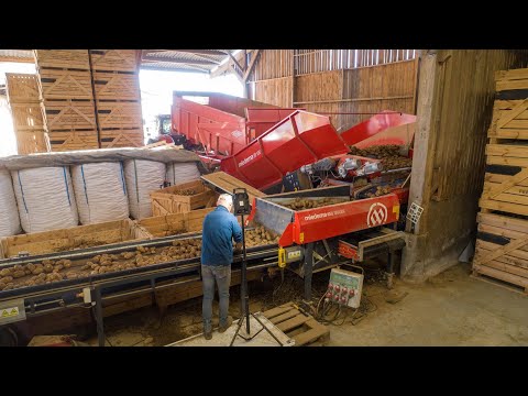 Miedema SB 1051 + Web Grader