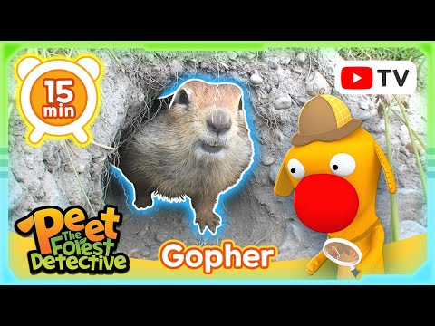The Great Gopher Patrol 🌟🌿 | Nature Stories For Kids | Peet The Forest Detective