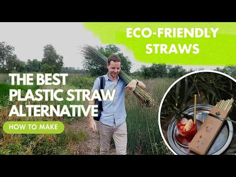 Grass Straws