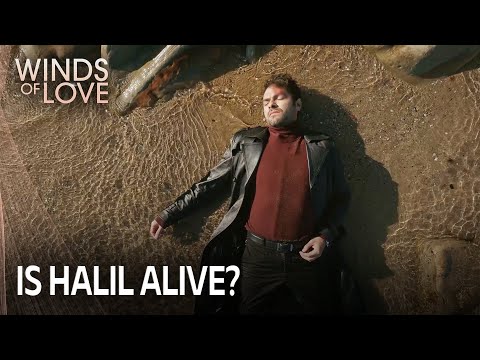 Halil'e ne oldu? | Rüzgarlı Tepe 197. Bölüm